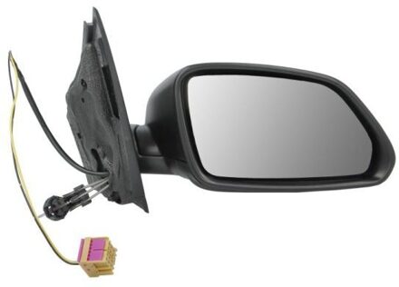 Volkswagen Buitenspiegel 5402041191111P