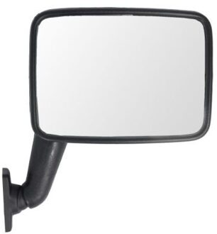 Volkswagen Buitenspiegel 5402041192983P