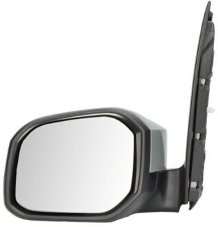 Volkswagen Buitenspiegel 5402041546365P