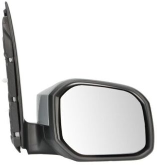 Volkswagen Buitenspiegel 5402041546366P