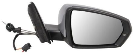 Volkswagen Buitenspiegel 5402041984366P