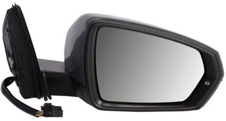 Volkswagen Buitenspiegel 5402041984368P