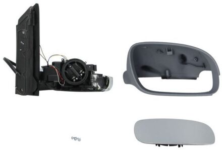 Volkswagen Buitenspiegel 5402049221192P