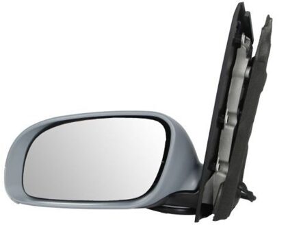 Volkswagen Buitenspiegel 5402049225192P