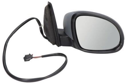 Volkswagen Buitenspiegel 5402049939131P