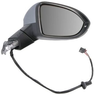 Volkswagen Buitenspiegel 6102012297311P