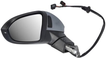 Volkswagen Buitenspiegel 6102012297312P