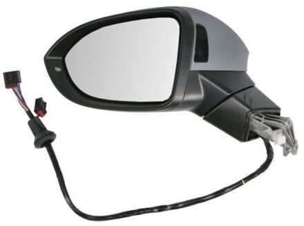 Volkswagen Buitenspiegel 6102012297314P