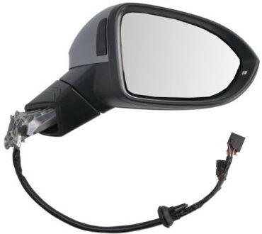 Volkswagen Buitenspiegel 6102012297315P