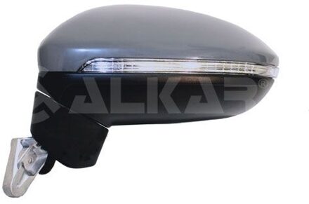 Volkswagen Buitenspiegel 9039189