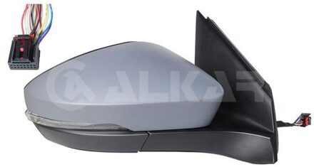 Volkswagen Buitenspiegel 9042071