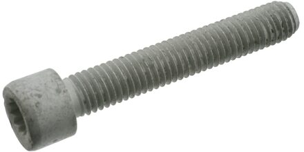 Volkswagen Cardanasschroef