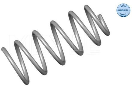 Volkswagen Chassisveer 1006390015