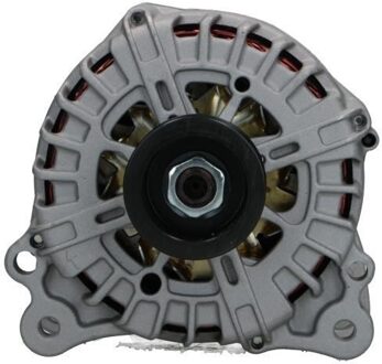 Volkswagen Dynamo Volkswagen 220A 305567220004