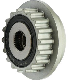 Volkswagen Dynamovrijloop AFP0025INA