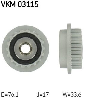 Volkswagen Dynamovrijloop VKM03115