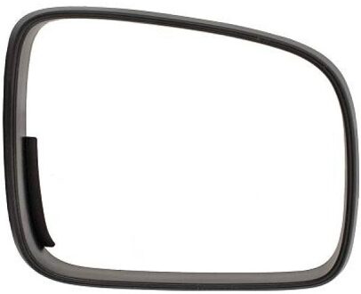 Volkswagen Frame, buitenspiegel 2205629