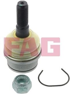 Volkswagen Fuseekogel 825035410