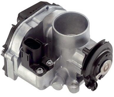 Volkswagen Gasklephuis