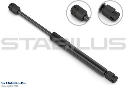 Volkswagen Gasveer, laadklep (achterklep) 273673