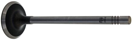 Volkswagen Inlaatklep