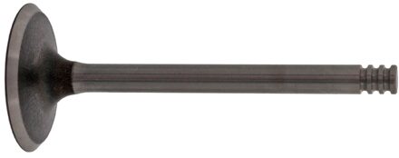 Volkswagen Inlaatklep