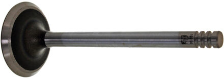 Volkswagen Inlaatklep