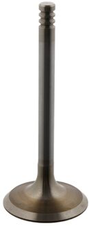 Volkswagen Inlaatklep