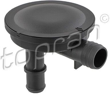 Volkswagen Klep, ontluchting nokkenasbehuizing 119021