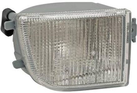 Volkswagen Knipperlicht 2244072
