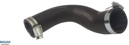 Volkswagen Laadluchtslang