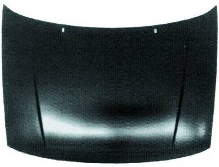 Volkswagen Motorkap 2203000