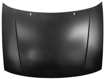 Volkswagen Motorkap 6803009504280P