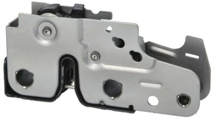 Volkswagen Motorkapslot 6010011569424P