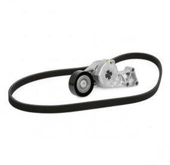 Volkswagen Multiriem set