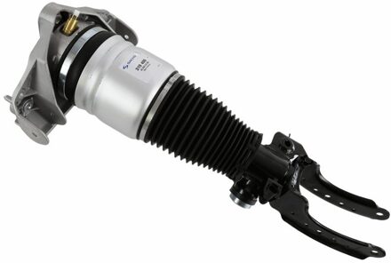 Volkswagen Pneumatische veerpoot 319409