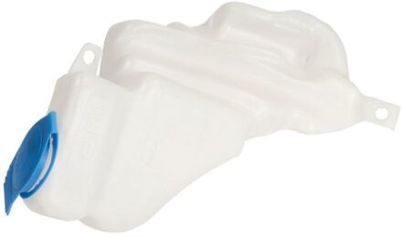 Volkswagen Reinigingsvloeistofreservoir, ruitenreiniging 690501020480P