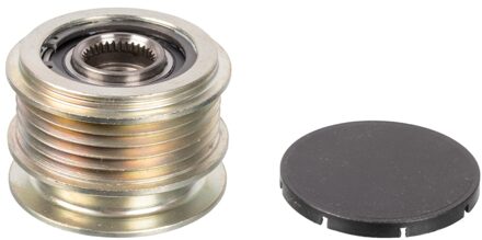 Volkswagen Riemschijf