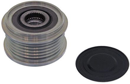 Volkswagen Riemschijf