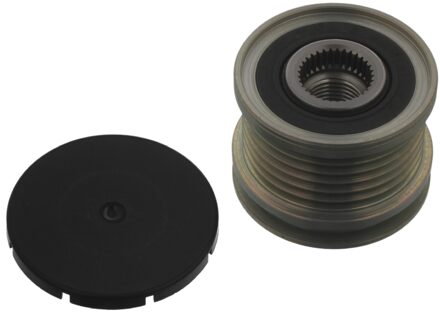 Volkswagen Riemschijf