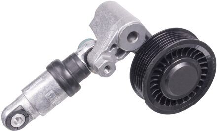 Volkswagen Riemspanner, poly V-riem 36003