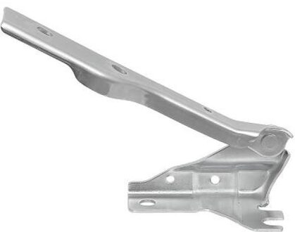 Volkswagen Scharnier, motorkap 2206018