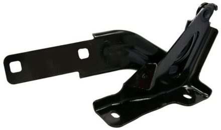 Volkswagen Scharnier, motorkap 6802009515451P