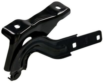 Volkswagen Scharnier, motorkap 6802009515452P