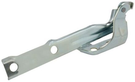 Volkswagen Scharnier, motorkap 6802009548451P