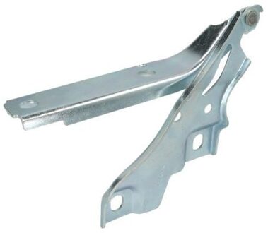 Volkswagen Scharnier, motorkap 6802009589454P