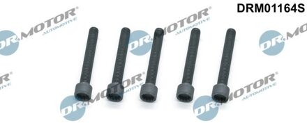 Volkswagen Schroef, inspuitstukhouder DRM01164S