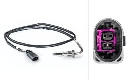 Volkswagen Sensor, uitlaatgastemperatuur 6PT014494431