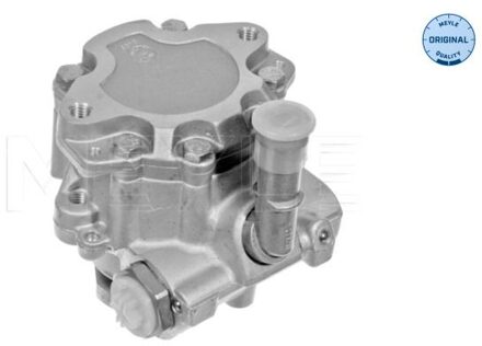 Volkswagen Servo pomp 1146310009