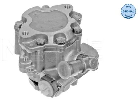 Volkswagen Servo pomp 1146310014